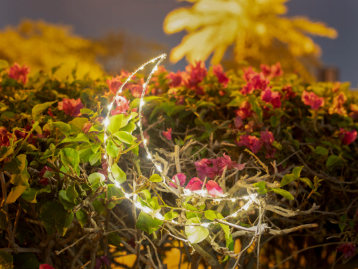 زينة مضيئة - هلال