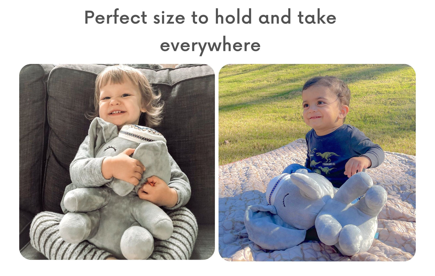 الفيل الناطق بالآيات القرآنية - محمود الصغير