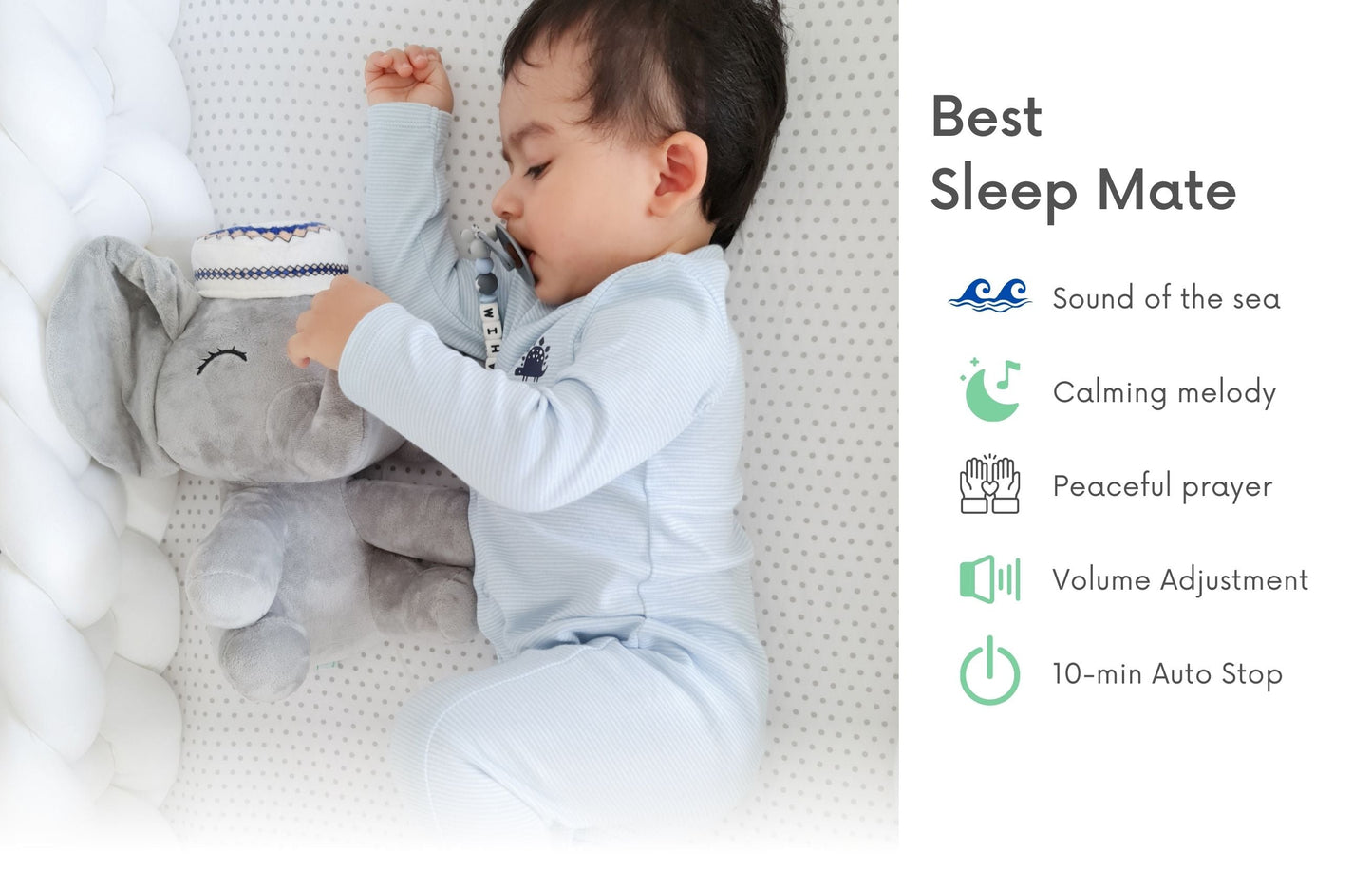 الفيل الناطق بالآيات القرآنية - محمود الصغير