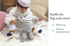 Little Mahmud, The Talking Quran Elephant